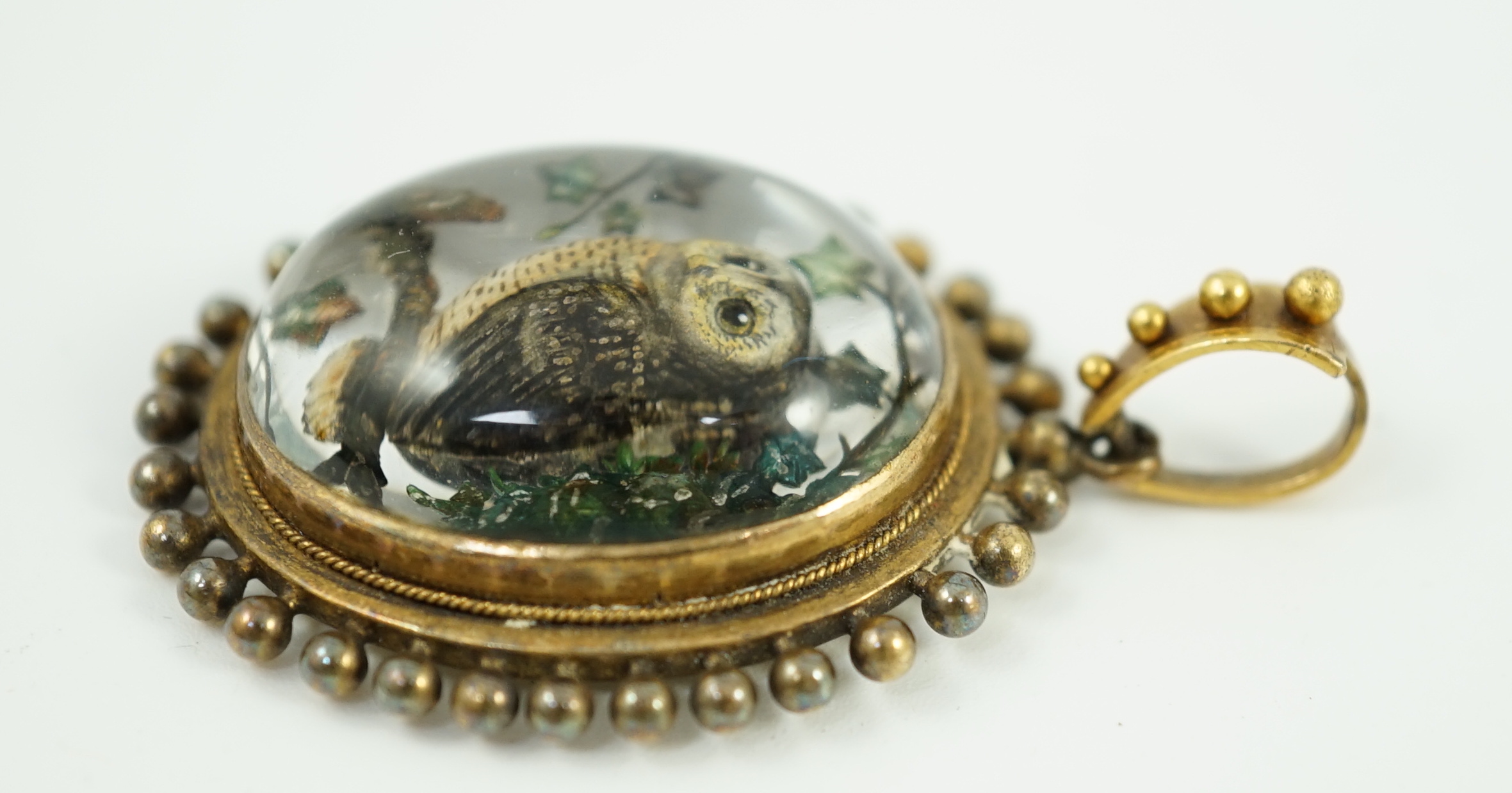 A Victorian yellow metal mounted Essex crystal oval pendant, depicting an owl upon a branch, amid foliage